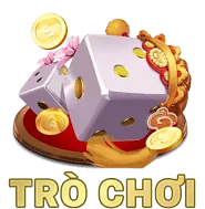Hai chú gà chiến đang đá gà